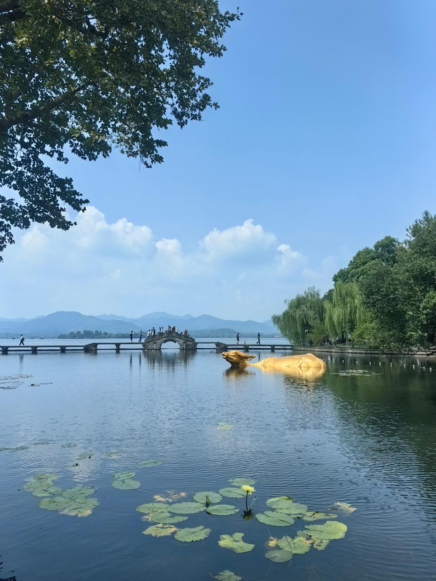 Hangzhou Lanshe Hotel Extérieur photo